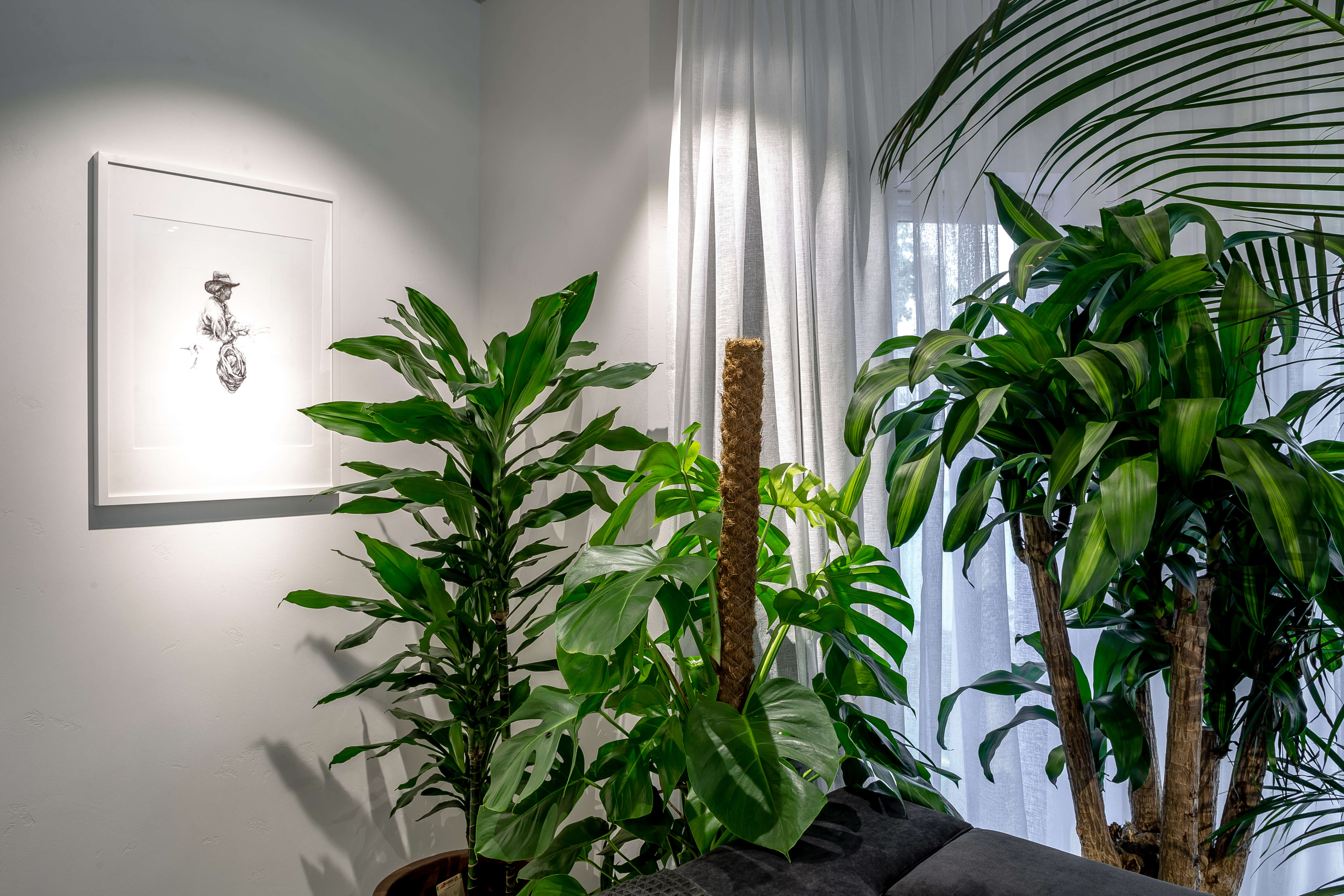 Сочетание декоративной штукатурки и мха