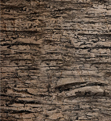 Фактурная штукатурка Canyon Neutro